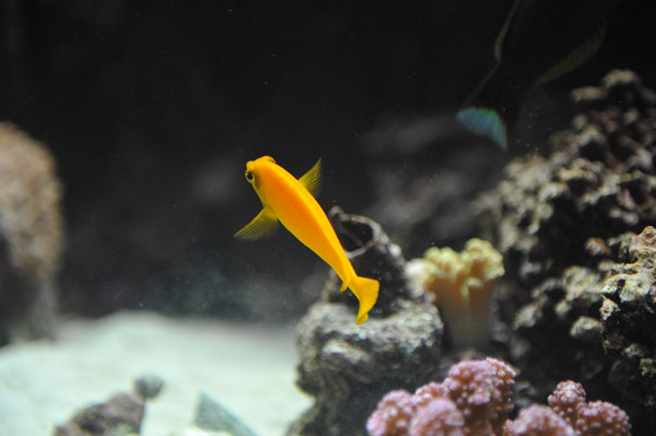 �����ՊC������