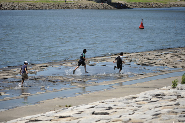 �����ՊC�����̊C�ݕ��i