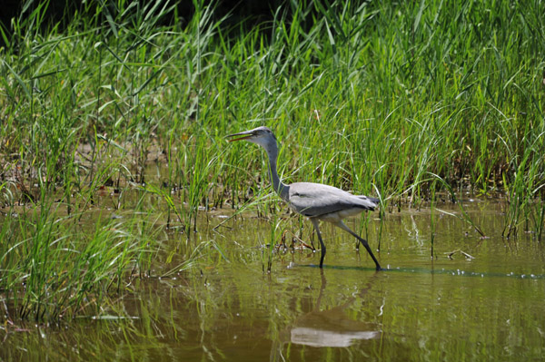 �����ՊC�����̊C�ݕ��i