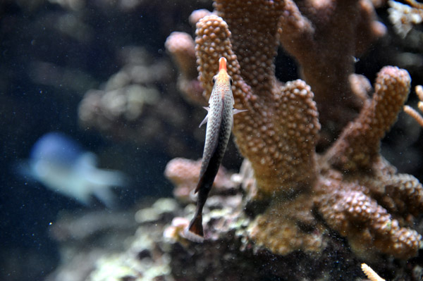 �����ՊC������