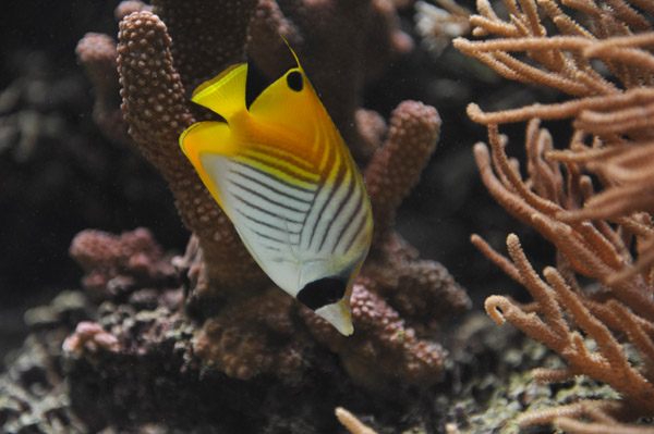 �����ՊC������