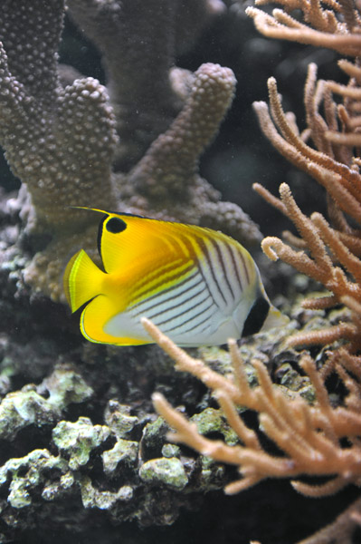 �����ՊC������