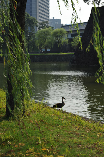 �x�̃J���K��