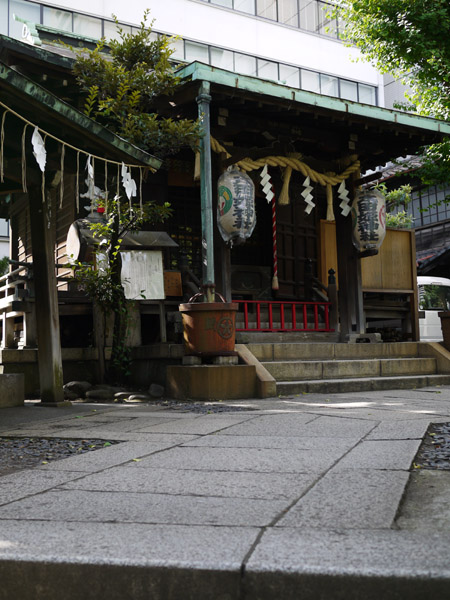 ���c�P��א_��