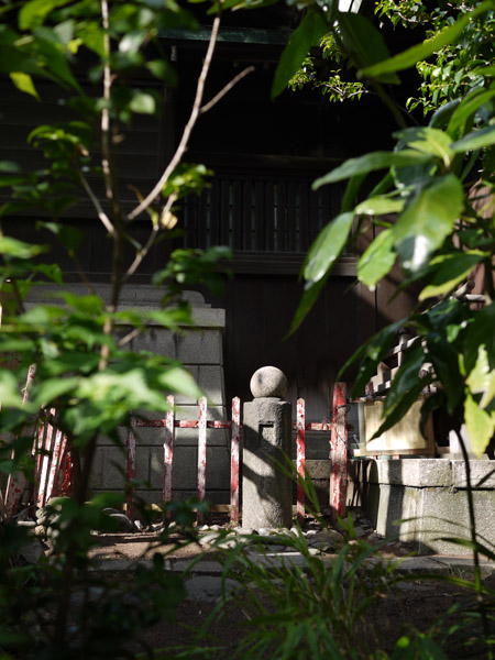 ���c�P��א_��