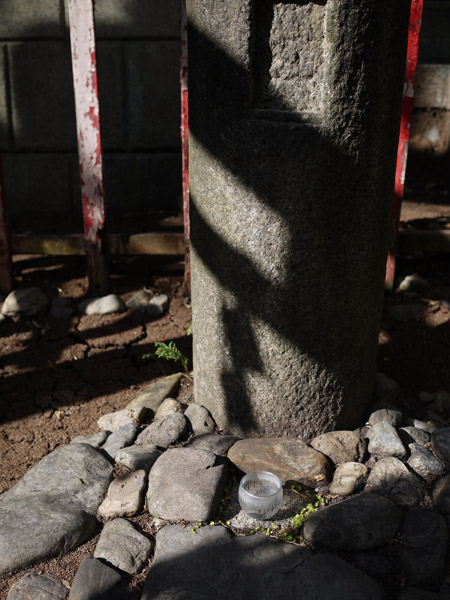 ���c�P��א_��