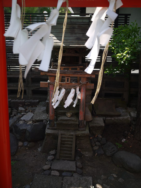 ���c�P��א_��