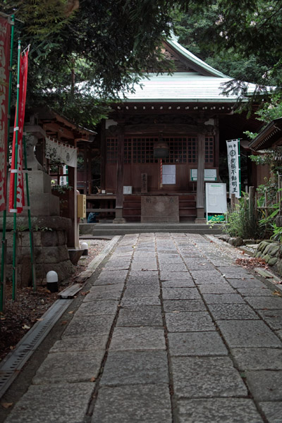 �[�厛�e�̊J���s����