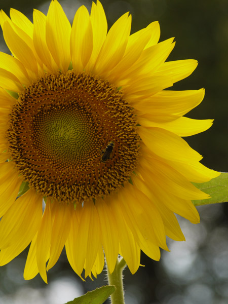 �_��A������