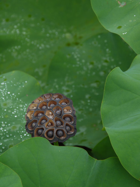 �_��A������