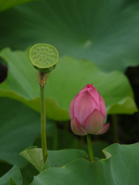 �_��A������