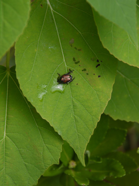 �_��A������