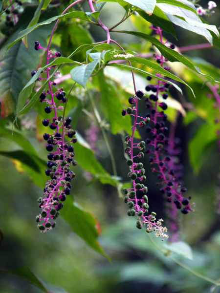 �_��A������