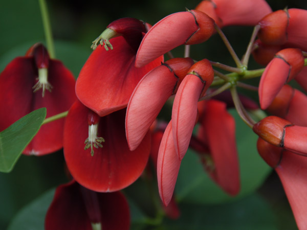 �_��A������