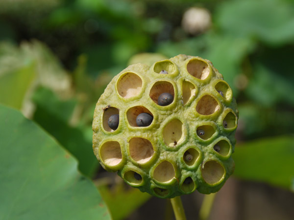 �_��A������