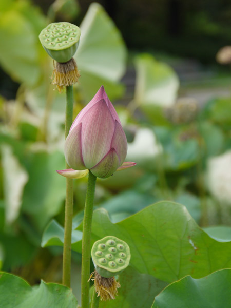 �_��A������