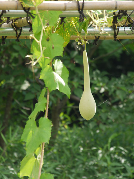 �_��A������