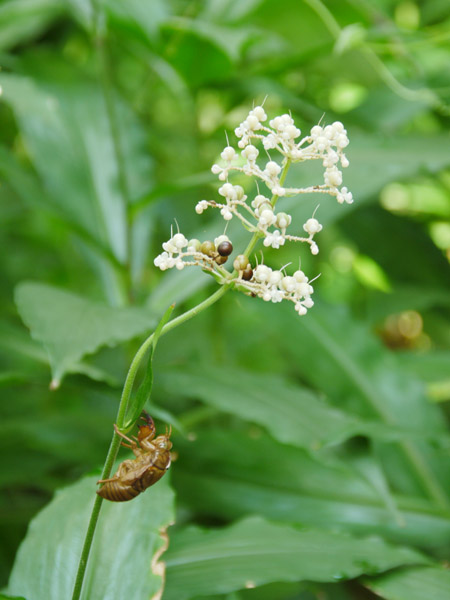 �_��A������