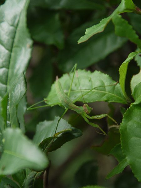 �_��A������