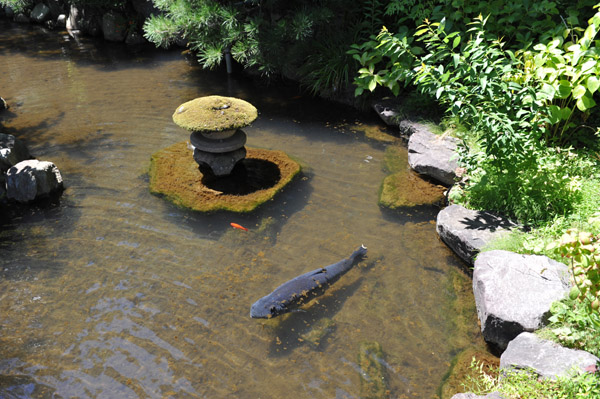 �����s����