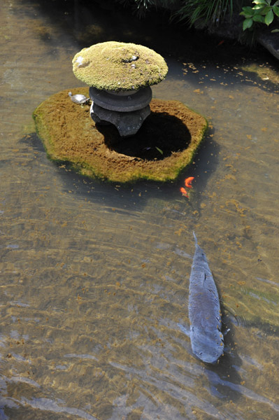 �����s����