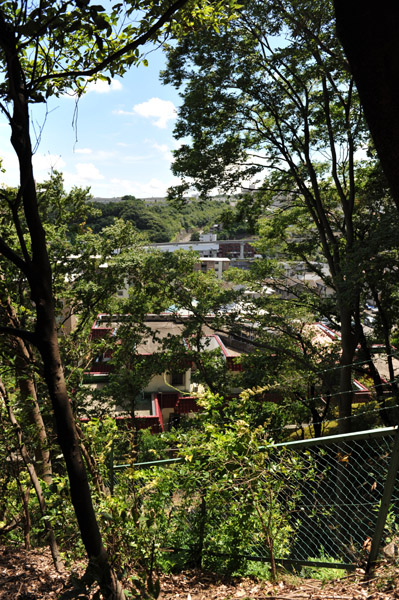 �����s�����̗��R