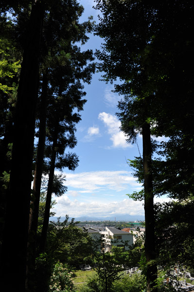 �����s�����̗��R