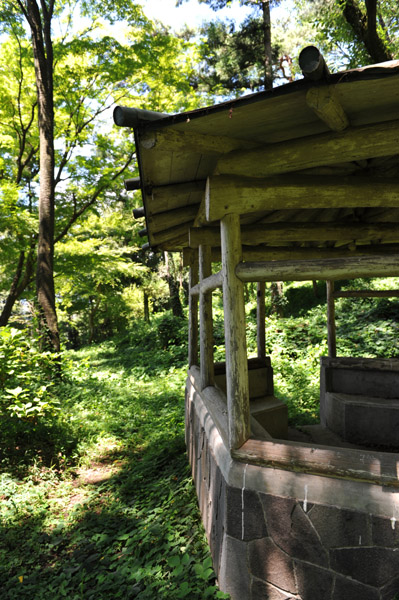 �����s�����̗��R