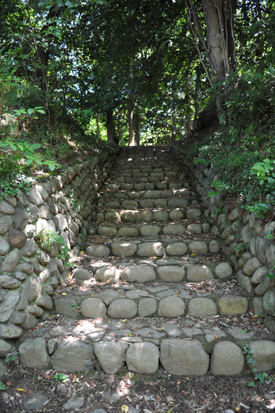 �����s�����̗��R