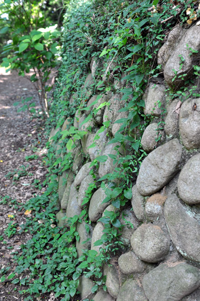 �����s�����̗��R