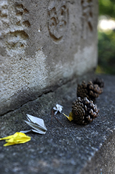 �����s�����̗��R