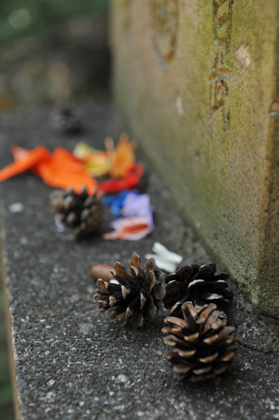 �����s�����̗��R