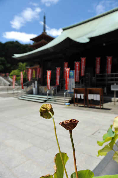 �����s����