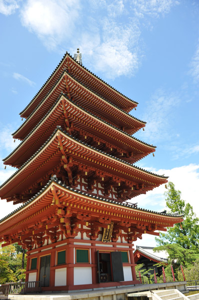 �����s����