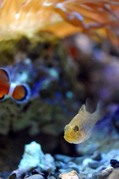 ���Ȃ��퐅���ق̋��B