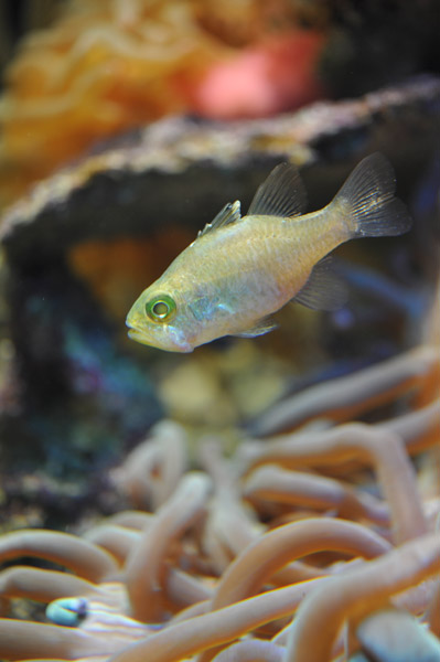 ���Ȃ��퐅���ق̋��B