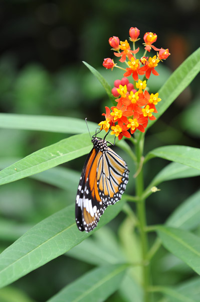 �������������̍����ق̒�