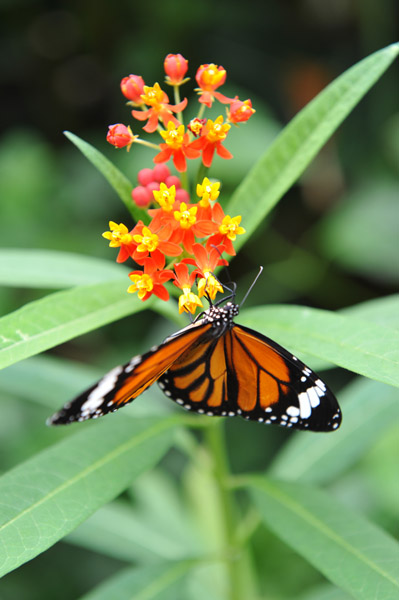 �������������̍����ق̒�