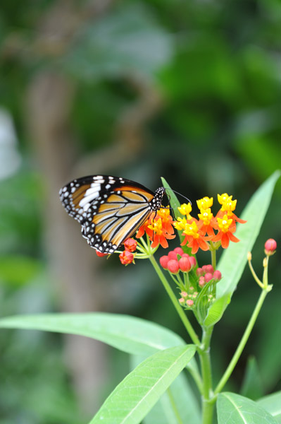 �������������̍����ق̒�