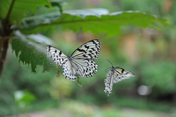 �������������̍����ق̒�