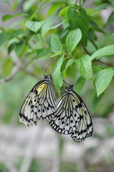 �������������̍����ق̒�