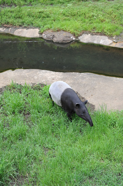 �������������̃}���[�o�N