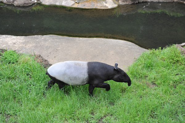 �������������̃}���[�o�N