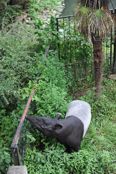 �������������̃}���[�o�N