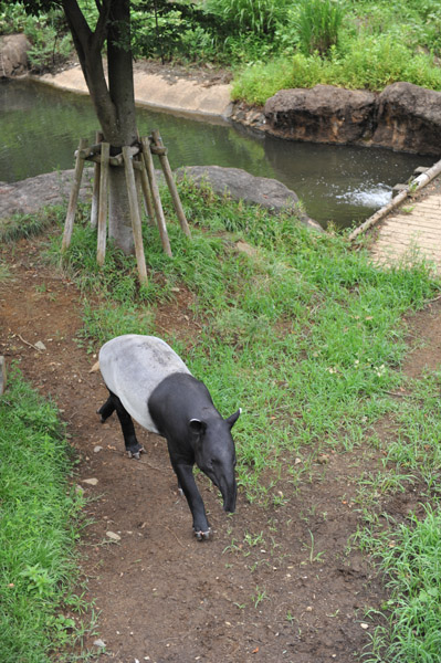 �������������̃}���[�o�N