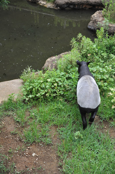 �������������̃}���[�o�N