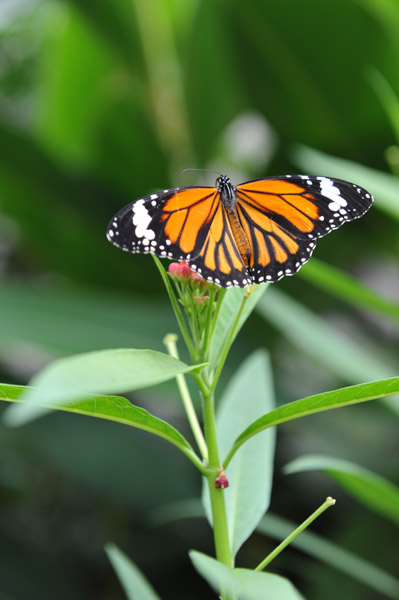 �������������̍����ق̒�