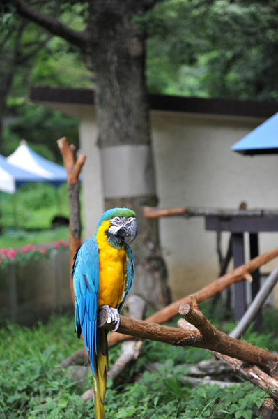 �������������̃I�E��