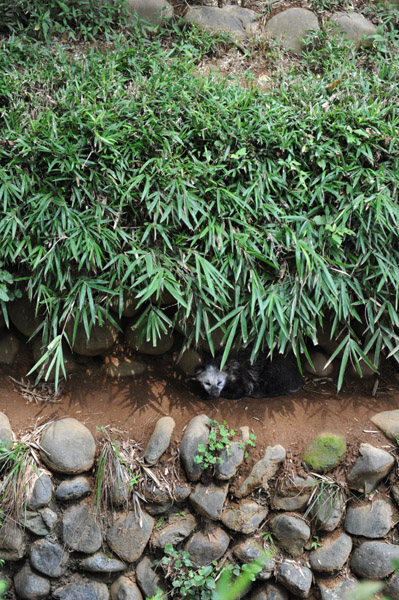 �������������̒K