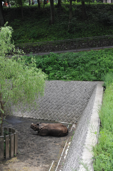 �������������̃T�C